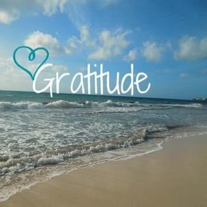 Meet your Posher, Jodi